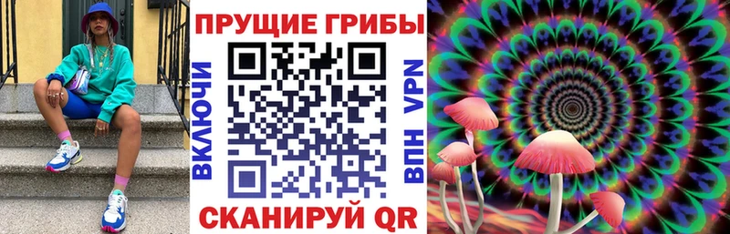 Галлюциногенные грибы прущие грибы  Псков 